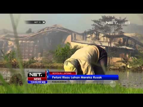 Kebakaran Pabrik di Boyolali, Jawa Tengah - NET12
