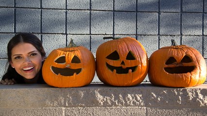 Handy Tips To Preserve Your Pumpkins