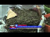 Yana Mau Nanya Indonesia Darurat Narkoba - NET12