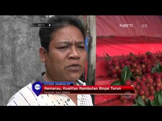 下载视频: Musim Kemarau Kualitas Rambutan Binjai Turun - NET5