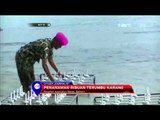 Marinir Tanam Terumbu Karang di Perairan Cilegon - NET12