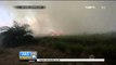 Puncak Kemarau, Kebakaran Melanda Sejumlah Lahan di Sumatera Selatan - IMS