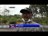 Dampak Erupsi Gunung Raung Terhadap Pertanian Warga - NET12
