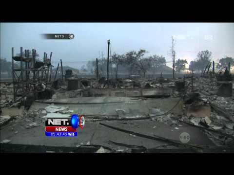 Kebakaran Hutan di Amerika Melanda Pemukiman Warga - NET5