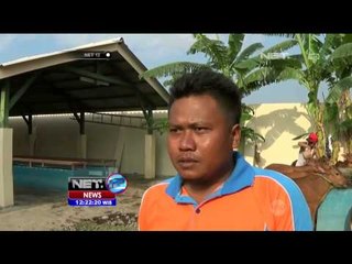 Jelang Idul Adha, Pasokan Sapi di Probolinggo Meningkat - NET12