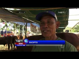 Butik Hewan Kurban - NET12