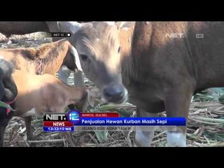 Hewan Kurban Mahal - NET12