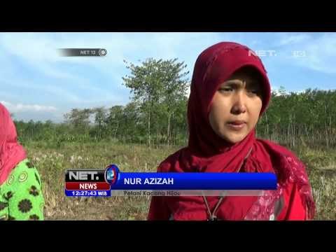 Predusen Batu Bara Di Karawang Banjir Pesanan Akibat Kemarau Panjang - NET12