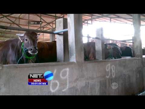 Harga Daging Terus Melonjak, Ratusan Pedagang Mogok Berjualan - NET24