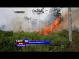 Kebakaran Lahan yang Menyebabkan Kabut Asap Meluas Sampai Satu Juta Hektar - NET16