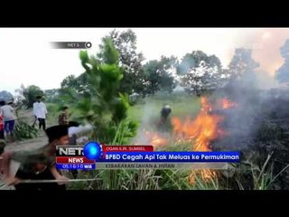 BPBD Cegah Api Tak Meluas ke Permukiman - NET5