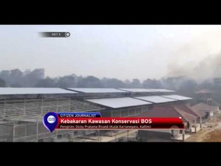 Kebakaran di BOS Foundation  - NET5