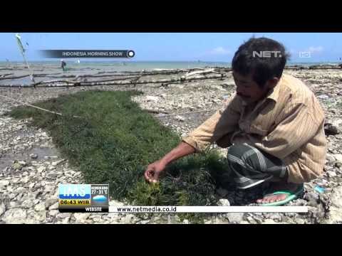 Musim Kemarau Panjang Akibatkan Kekeringan di Sejumlah Daerah - IMS