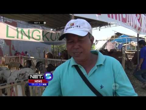 Pemasaran Unik Hewan Kurban Berhadiah Batu Akik - NET5