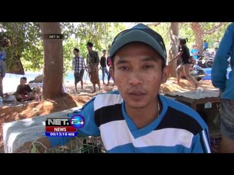 Ratusan Kelinci Meriahkan Lomba Balap Kelinci di Sumenep - NET24