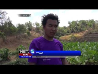 Dampak Kemarau, Pemerintah Tetapkan Darurat Serangan Kera di Sumenep - NET5