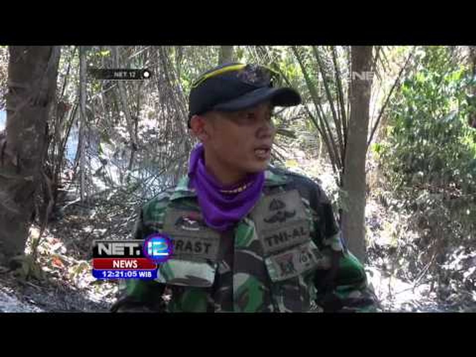 Kebakaran Lahan dan Hutan di Riau Capai Ribuan Hektar - NET12