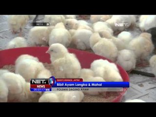 Polemik Daging Ayam - NET5