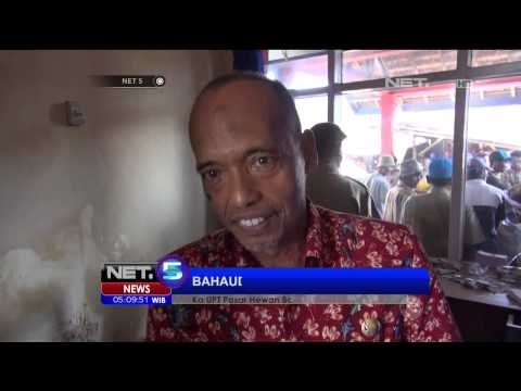 Omset Pedagang Sapi di Madura Meningkat - NET5