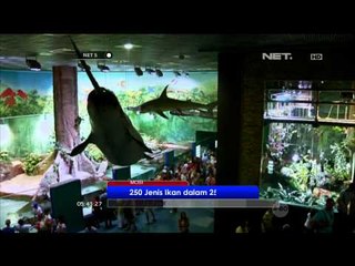 Sensasi Petualangan Bawah Laut di Rusia - NET5