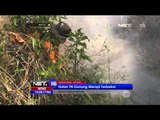 Kebakaran Hutan Taman Nasional Gunung Merapi di Magelang - NET16