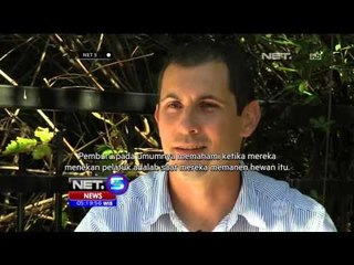 Kontroversi Perburuan Beruang di Kawasan Kanada - NET5