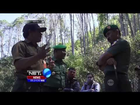 Kebakaran Hutan Gunung Lawu Dijinakkan Selama 10 Jam - NET5