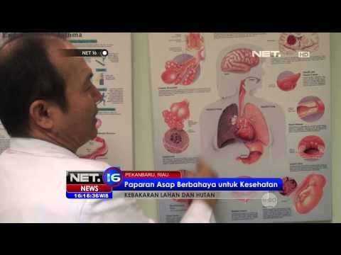 Kualitas Udara di Riau Berada di Level Berbahaya - NET16