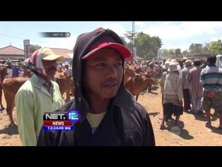 Profesi Unik Jasa Tukang Dorong Sapi di Madura - NET12