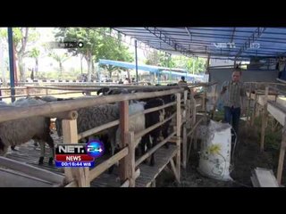 Ahok Mengeluarkan Aturan Tentang Hewan Kurban - NET24