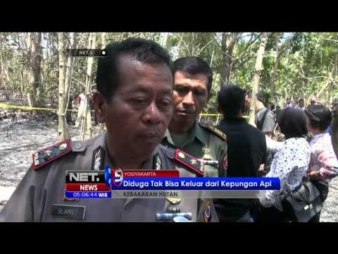 Hutan Jati Terbakar, Warga Ditemukan Tewas - NET5
