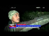 Kebakaran Hutan Di Wonosobo Api Merembet ke Wilayah Temanggung - NET5