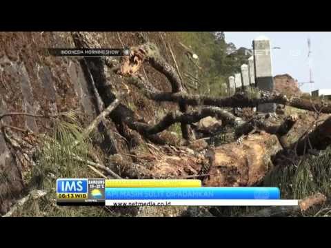 Tim Pemadam Gabungan Kewalahan Menjinakkan Kebakaran Gunung Lawu - IMS