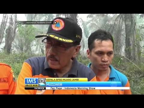 Kabut Asap Akibatkan Opersaional Bandara Sultan Babullah Terganggu - IMS