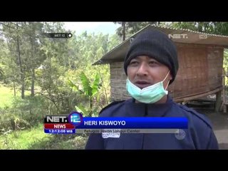 6 Lutung Jawa Direhabilitasi - NET12