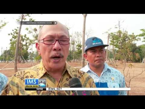 Serba Serbi Sopir Tembak - IMS