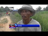 Kebakaran Lahan dan Hutan Semakin Marak Terjadi di Kalimantan Timur - NET24
