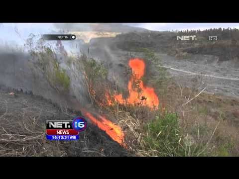 Kebakaran Taman Nasional Gunung Merapi Meluas - NET 16