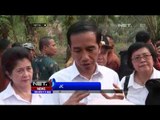 Presiden Kunjungi Suku Anak Dalam - NET24