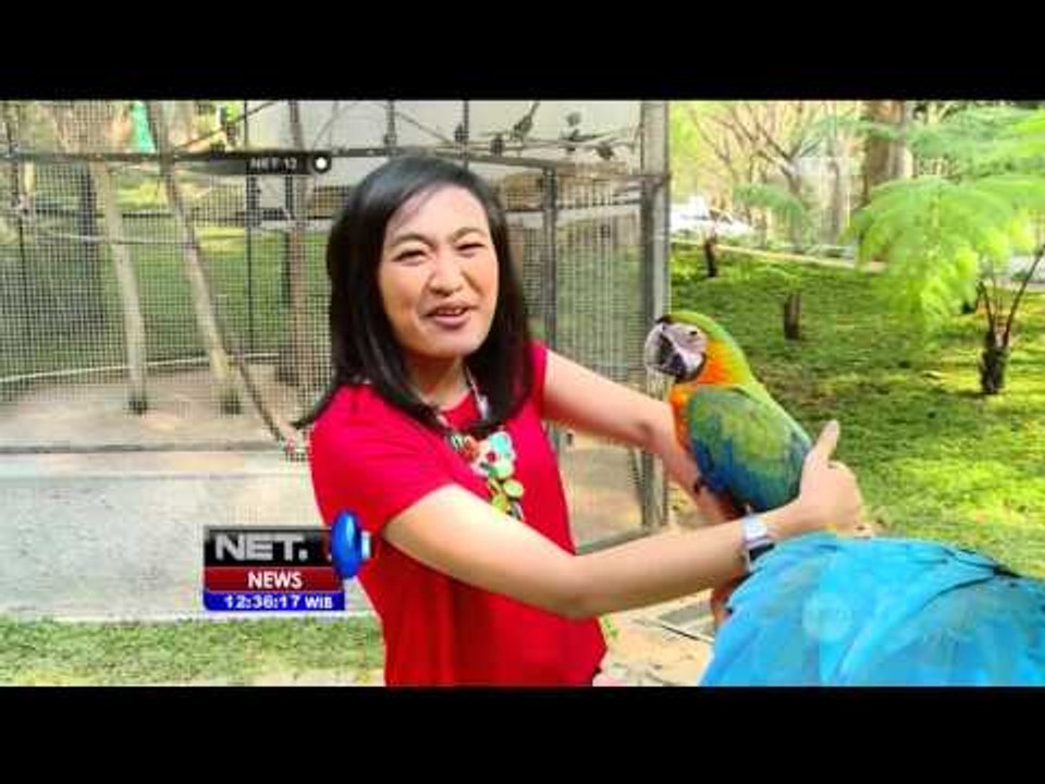 Destinasi Liburan Unik di Kafe Burung - NET12