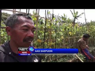 Jalur Penghubung Antar Desa Lumpuh Total - NET 10
