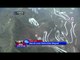 Kompetisi Ekstrim Wingsuit Tingkat Dunia Digelar di Cina - NET24