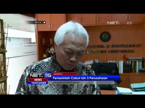 Pemerintah Berikan Sanksi Tegas Terhadap Pelaku Pembakaran Hutan - NET 16