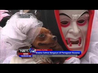 Jelang Halloween, Aneka Satwa Bergaya di Peragaan Busana - NET 12