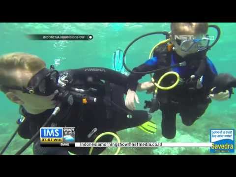 Serba Serbi Wall Climbing Anak - IMS