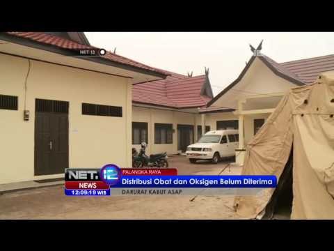 Live Report Proses Evakuasi Korban Kabut Asap di Palangkaraya - NET12