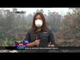 Live Report, Sepanjang Jalan Trans Kalimantan Terdapat Banyak Titik Api - NET 16