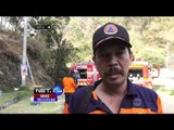 BMKG Prediksi Kebakaran Hutan dan Lahan di Jawa Timur Akan Bertambah - NET24