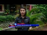 Live Report Dari Duren Sawit, Terkait Ledakan Bom - NET12