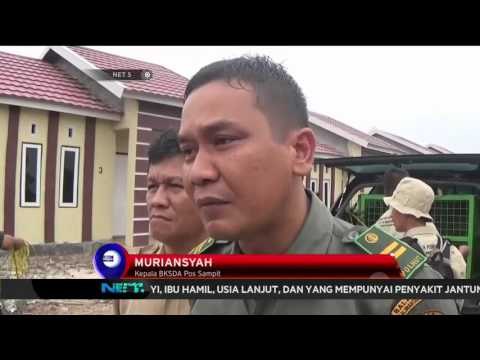 Habitat Terbakar, Orang Utan Masuk Pemukiman Warga di Sampit - NET5
